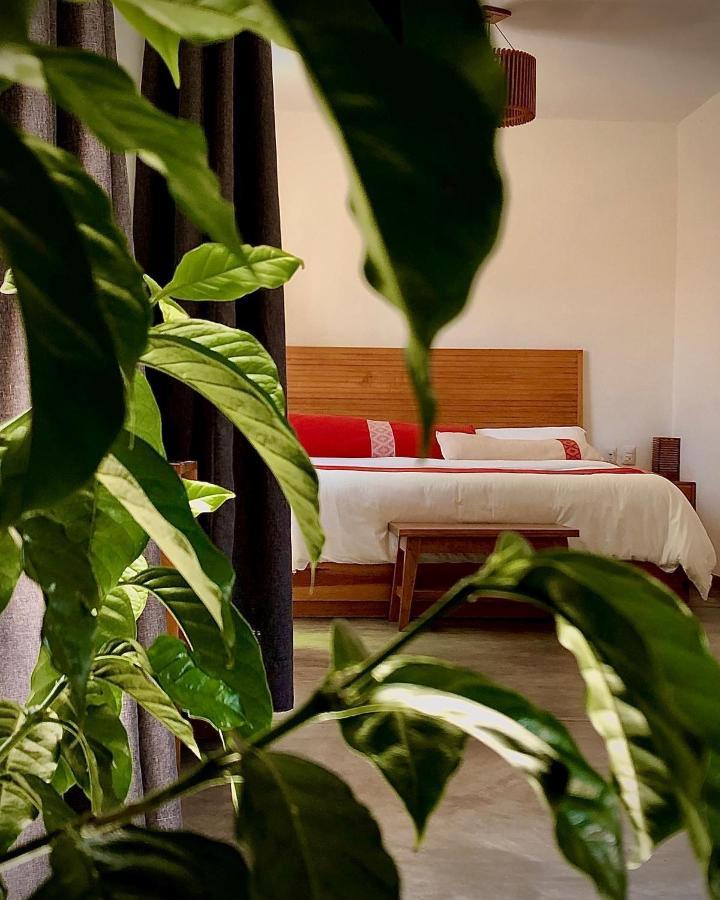Hotel Casa Cafeólogo San Cristóbal de Las Casas Zewnętrze zdjęcie