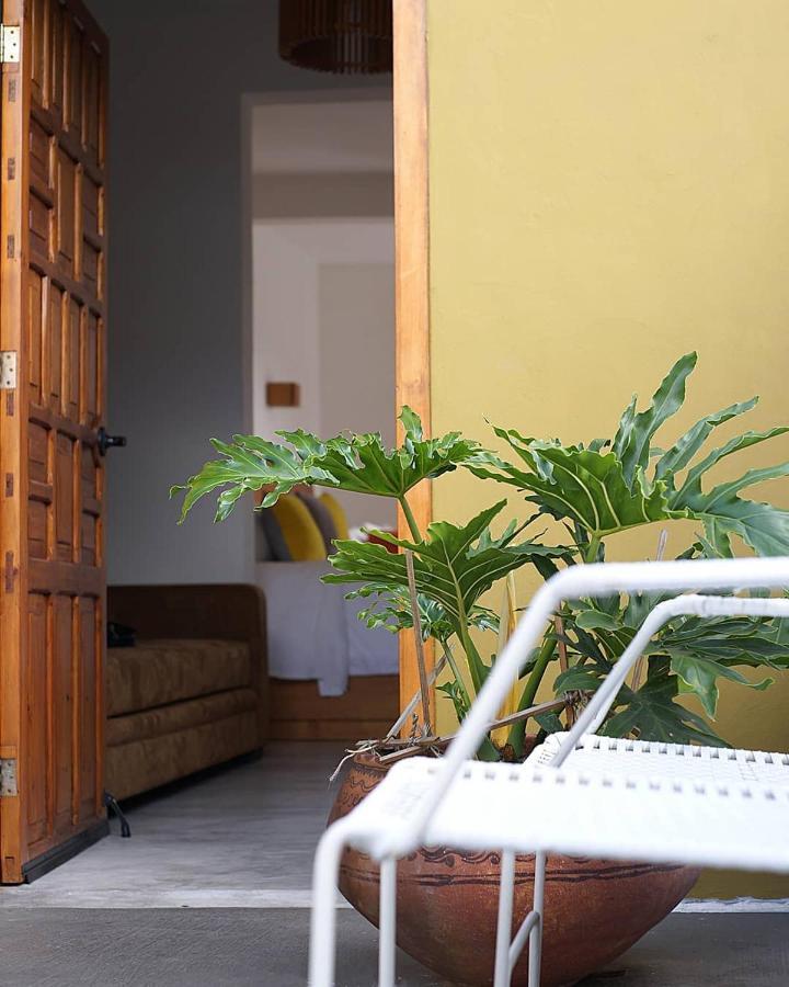 Hotel Casa Cafeólogo San Cristóbal de Las Casas Zewnętrze zdjęcie