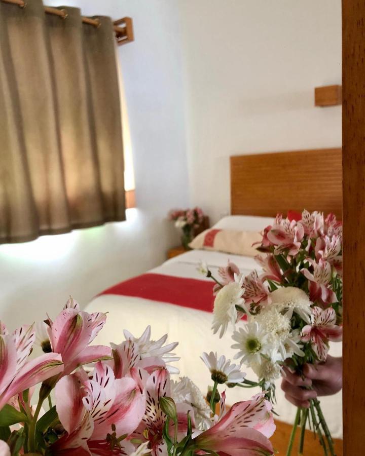 Hotel Casa Cafeólogo San Cristóbal de Las Casas Zewnętrze zdjęcie