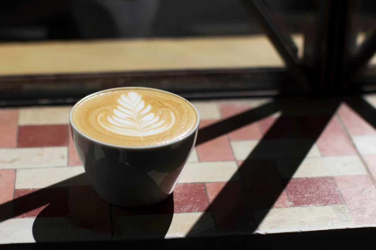 Hotel Casa Cafeólogo San Cristóbal de Las Casas Zewnętrze zdjęcie